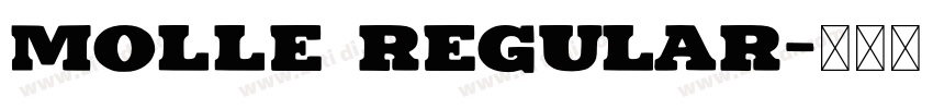 Molle Regular字体转换